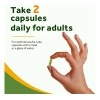Doctors Recipes Moringa 11,000 Mg 90 Caps Veganas Sin Sabor