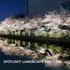 SANSUN 5W MR16 LED Landscape Light Bulbs, Low Voltage 12V