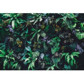 shensu Vinyl 5x3ft Tropical Green Plants Flowers Backdrops for Photography Natural Green Leaves Photo Background Girls Women Portrait Photoshoot Photo Booth Studio Props Party Decoration