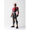 S.H. Figuarts Kamen Rider Decade (True Bone Carving Method), Kamen