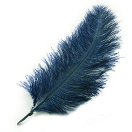 Navy Dark Blue Ostrich Feathers x 2 (approx 6-7 inches) Crafts, Sewing, Costuming, Millinery etc