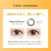 CREO UV Rings 30 Pieces 1 Box Natural Brown (1