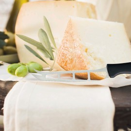 Triangle Germany Cheese Knife with Ergonomic Handle, Perforated Stainless Steel Blade Keeps Cheese from Sticking, Easily Cuts through Packaging, Dishwasher Safe, Made in Germany