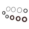 9pcs Rubber Pressure Washer Pump Seal Kit for Annovi Reverberi