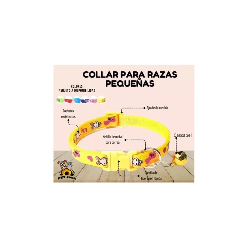 Collar Perros Y Gatos Ajustable Raza Pequeña Kit 6 Piezas