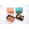 TAKENAKA Rectangle Bento Box, Peppermint