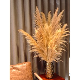 auleegay 20 PCS 40 inches Bohemian Style Handpicked Pampas Grass Dried Flowers, Big Pampas Grass, Fluffy Grass, Dried Flowers for Wedding, Party