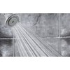 Niagara Conservation N3912CH Earth Luxe High Efficiency Showerhead, Chrome