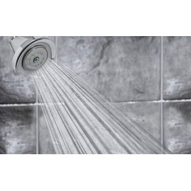 Niagara Conservation N3912CH Earth Luxe High Efficiency Showerhead, Chrome