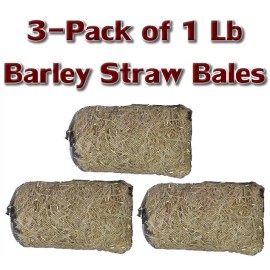 EasyPro Pond Products 3 Pack Barley Straw Bales 1Lb Treats Approx 3000 Gal. Improve Pond-water-qua
