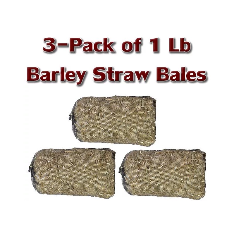 EasyPro Pond Products 3 Pack Barley Straw Bales 1Lb Treats