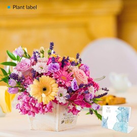 20 Soporte de Tienda de Etiquetas de Precio Soportes de Plástico Transparente para Etiquetas en Forma de L Soporte de Etiquetas de Soporte de Letreros de Acrílico para Supermercado Restaurante Oficina