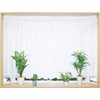 [Cloth shop Clothya] Lace Curtain for Bay Windows Width Approx.