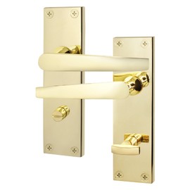 EAI Polished Brass Bathroom Door Handles | 1 Pair of Bathroom Handles on Backplate | Straight Pattern