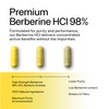 Sacred Summit Pure Berberine 500mg – 10:1 Extract (5000mg Equivalent)