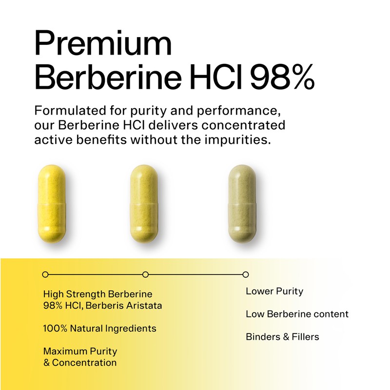 Sacred Summit Pure Berberine 500mg – 10:1 Extract (5000mg Equivalent)