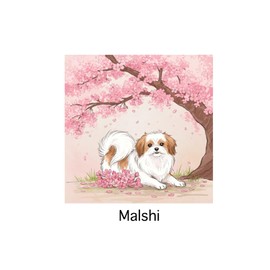 Malshi Notebook