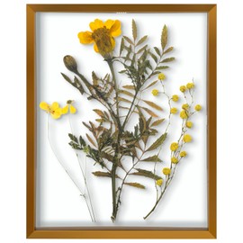 Frametory, Floating Picture Frame 8x10 - Bronze Metal Photo Frame - Real Glass - for Wall Mount Displays, T21341_FT_03312024