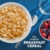 Kellogg's Special K, Breakfast Cereal, Original, Made with Folic Acid,