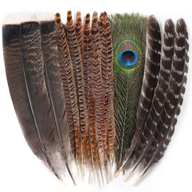 Ballinger Large Natural Pheasant Feathers - 8-12inch 4 Styles 24Pcs Assorted Craft Feathers Bulk,Peacock Feathers, Pheasant Feathers,Turkey Feathers for Crafting Vase Hat Wedding Autumn Party Decor