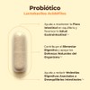 Probióticos Cápsula Mejora Flora Intestinal Y Estreñimiento