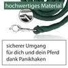 Lead rope with panic hook for horse in various stylish