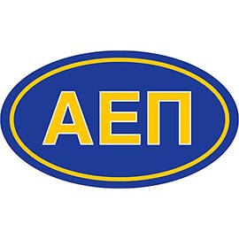 Alpha Epsilon Pi Oval Fraternity Car Magnet Set of 2 Removable No Residue All Weather Magnets for Fraternity Guys and Student Drivers
