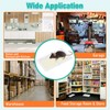 Qualirey 12 Pack Mouse and Insect Glue Traps, Strong Sticky