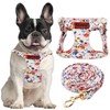 OaaXbbECco No Pull Floral Pattern Puppy Harness,Soft Adjustable Dog Harness