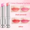 Tinted Lip Balm Lip Oil Lip Gloss Colour Changing Lip