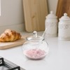 Frcctre Set of 2 Glass Sugar Bowl with Spoon and