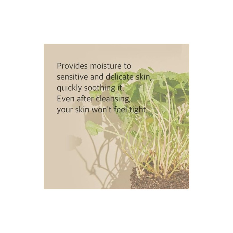 Centella Cleansing Foam – Espuma con CICA y ácido salicílico,