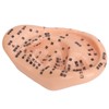 Ear Sticker Acupuncture Kit 600pcs Ear Massage Sticker Acupuncture Model