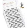 Obeyalash Premade Eyelash Extensions, 120 Compartments, Premade Professional Thin Eyelash