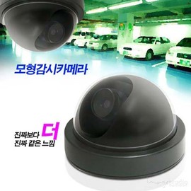 Realistic Model Dome Camera (Black) for Security/Surveillance For Security