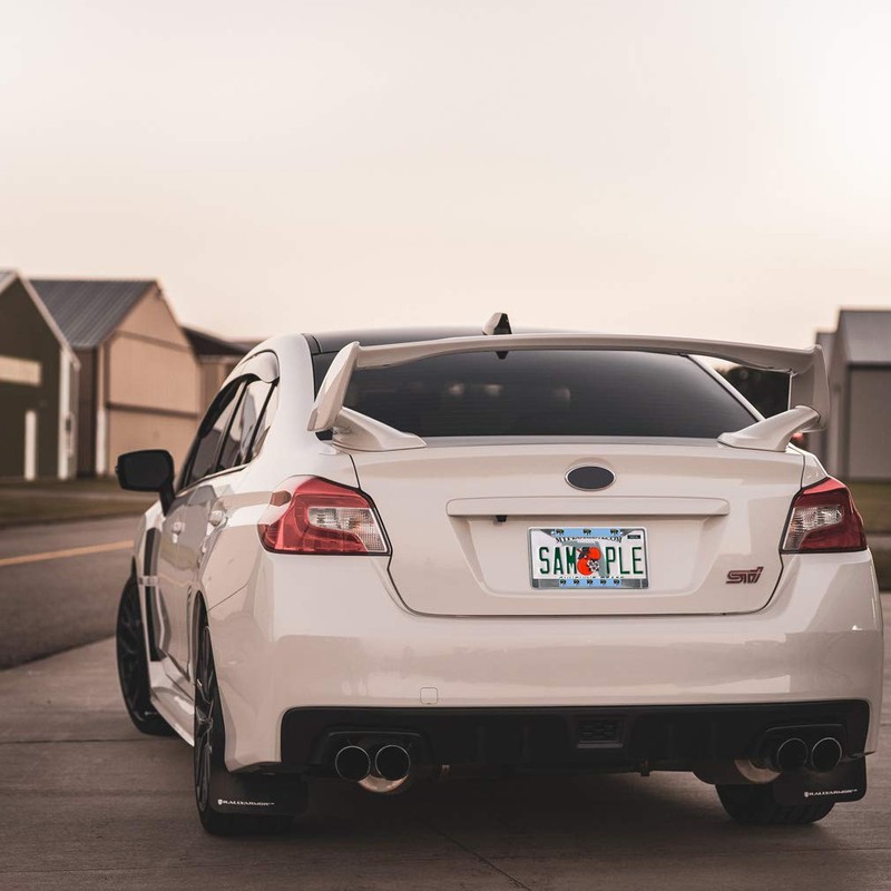 Fastasticdeals Metal Insert License Plate Frame Honey Bee Weatherproof Car