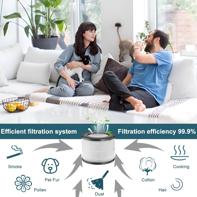 Can-Meageren Filter Replacement Compatible with Greentech Environmental Active HEPA+ Room