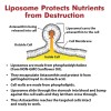 Osasuna Liposomal Astaxantina 24mg Con 60 Softgels Importado