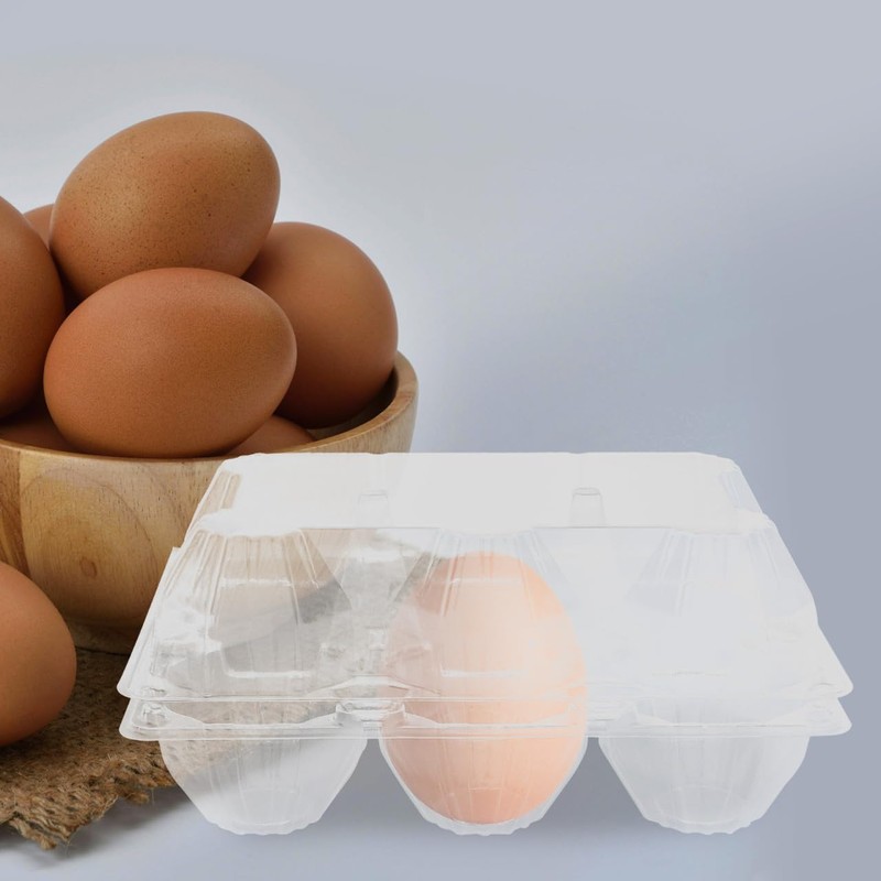DOITOOL 6 Pcs Goose Egg Cartons 6 Count Plastic Duck