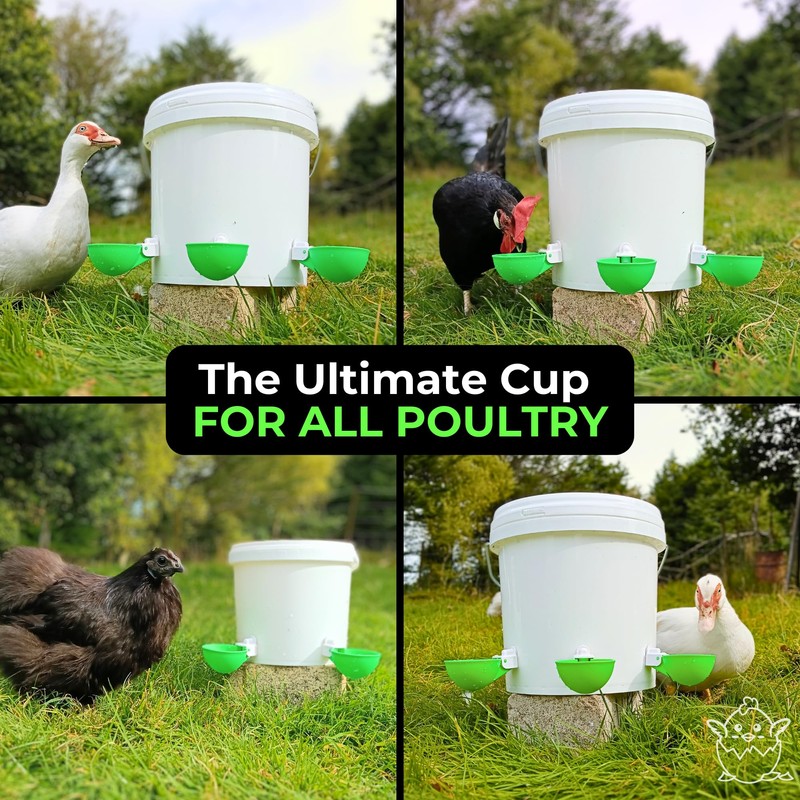 Lil'Clucker - Green Large Automatic Chicken Waterer Cups Suitable for