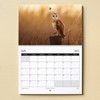 2025 British Birds Wall Calendar Featuring Stunning Photography of Birds