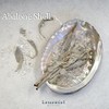 [Abalone Shell] Natural Seashell Dish, Smudging, Purifying, Cleansing, Meditation, White,