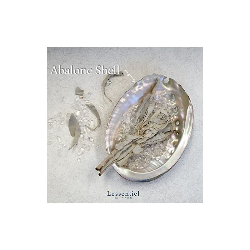 [Abalone Shell] Natural Seashell Dish, Smudging, Purifying, Cleansing, Meditation, White,