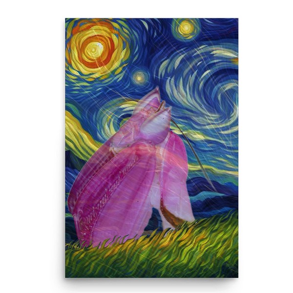Whimsical Swirl Night Sky Portrait - Pink Orchid Mantis Wall