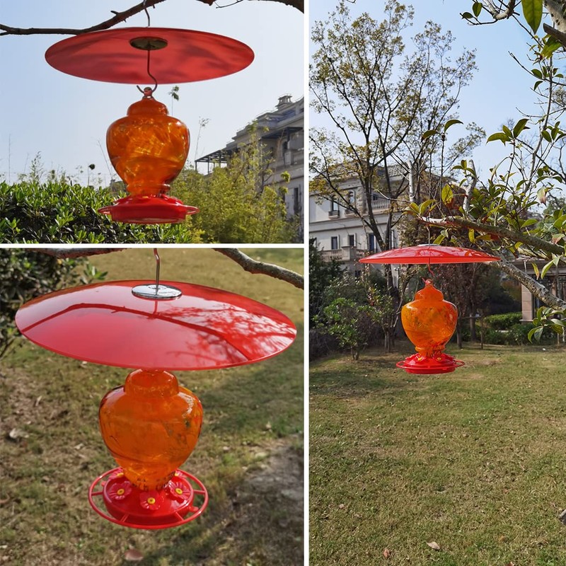 13" Glass Rain Guard for Bird Feeder Outdoors - Baffle