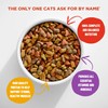 Meow Mix Original Choice Dry Cat Food, 18 Ounce (Pack