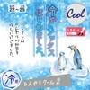 Atsugi FS5013 Women's Socks, Cheri-Beju, Sheri-Veiges