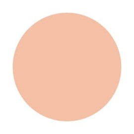 Cosmetics Décolleté AQ Skin Forming Liquid Foundation 351