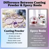 LET'S RESIN Resin Casting Powders Starter Kit, 1000g Fast Cured
