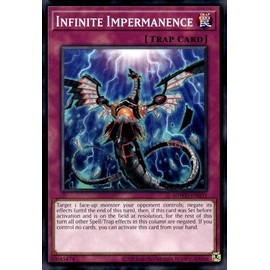 Infinite Impermanence (Unlimited Misprint) - SDWD-EN031 - Common - Unlimited